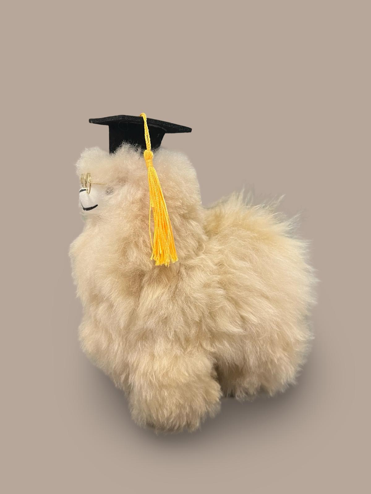 Graduate Alpaca Wool Stuffed Animal
