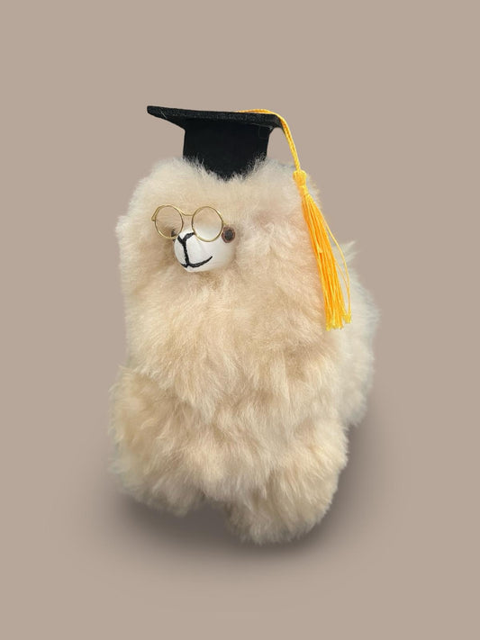 Graduate Alpaca Wool Stuffed Animal